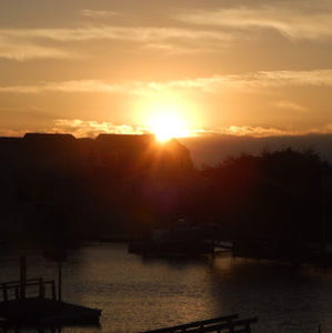 Meet your Posher, Alivia